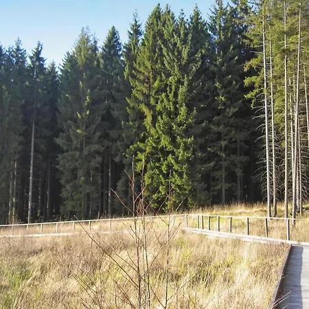 In Near Eifel Trails Lissendorf