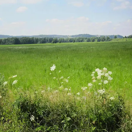In Near Eifel Trails *